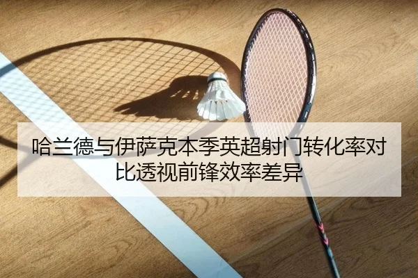 哈兰德与伊萨克本季英超射门转化率对比透视前锋效率差异